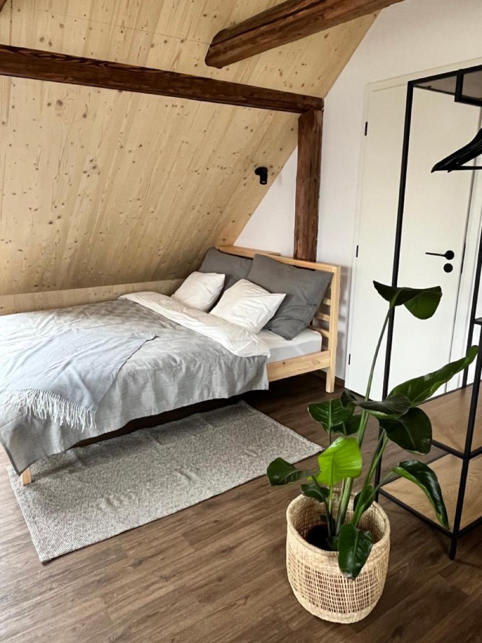 Sanky Apartment Liberec